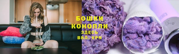 гашик Краснослободск