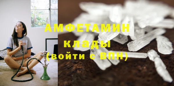 гашик Краснослободск