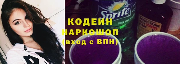 гашик Краснослободск