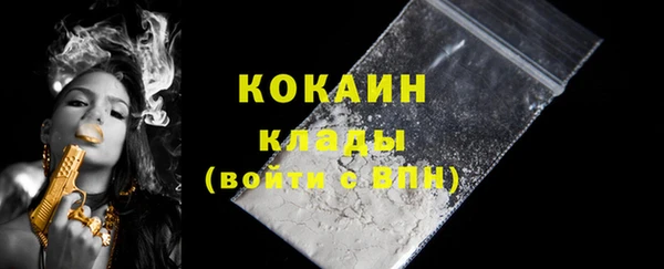 гашик Краснослободск