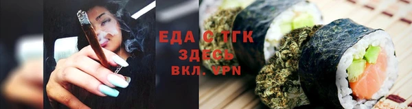 гашик Краснослободск