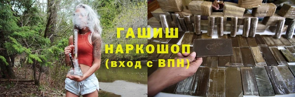 гашик Краснослободск