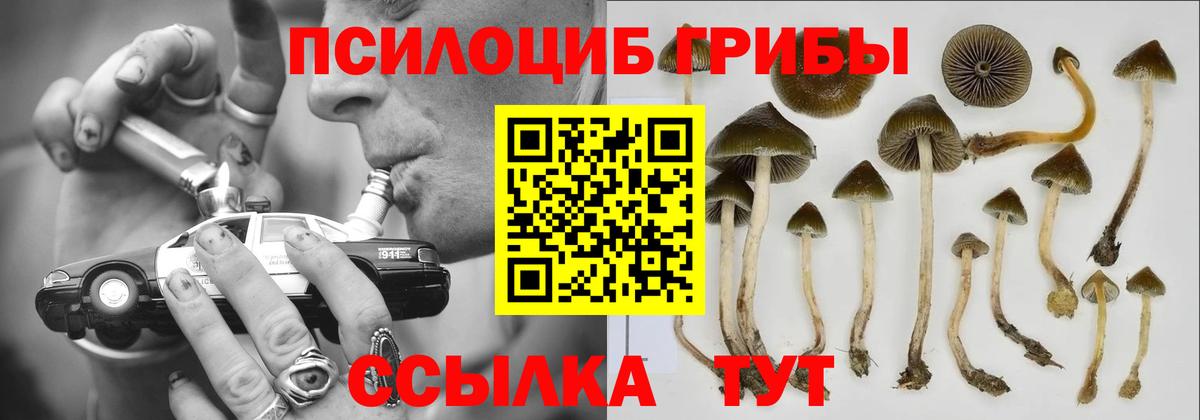 Псилоцибиновые грибы Psilocybine cubensis  Вход с VPN  где продают   Рыбинск 